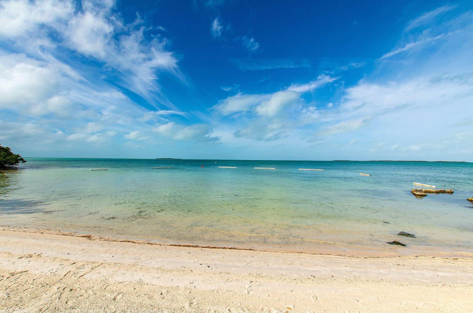 The beautiful Key Largo coastline.