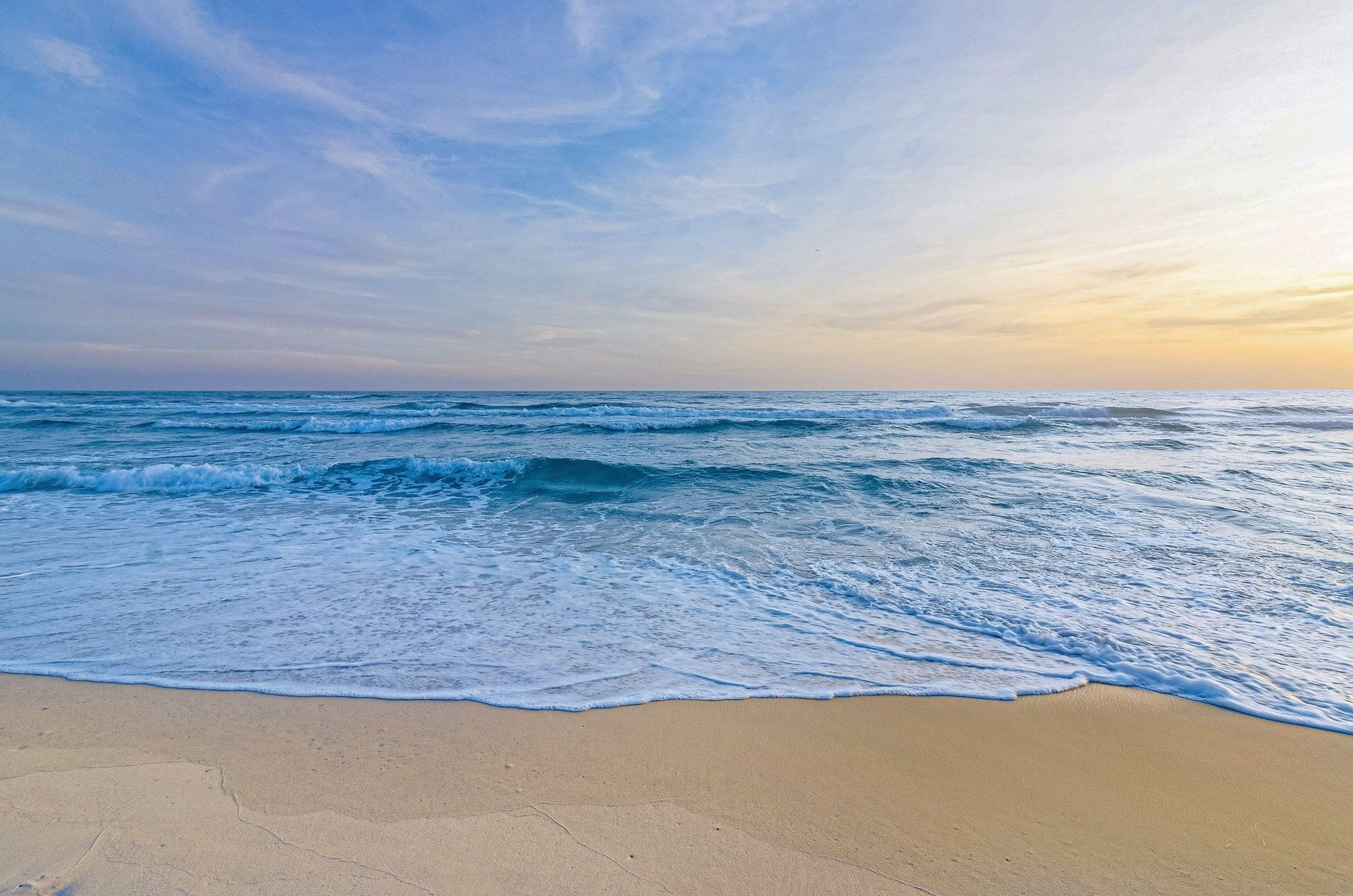 477833 Seagrove Highlands  2017 0 202312 51313