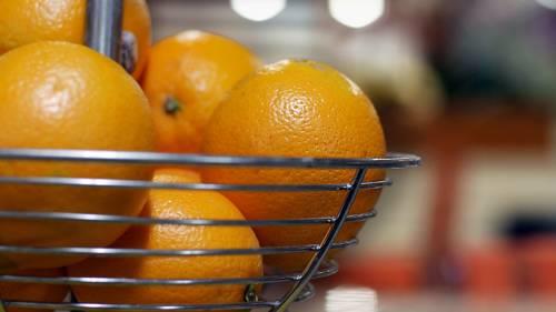 Best Western Plus Siesta Key Gateway in Sarasota FL 45