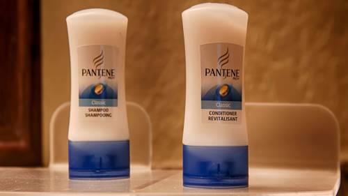 Best Western Plus Siesta Key Gateway in Sarasota FL 63