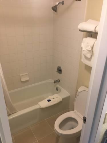 Best Western Plus Siesta Key Gateway in Sarasota FL 83