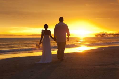 Doubletree Beach Resort Tampa BayNorth Redington Beach in North Redington Beach FL 23