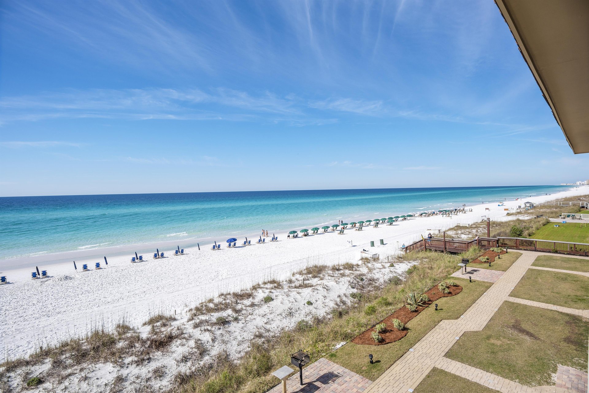 Coral Reef Club 37 17