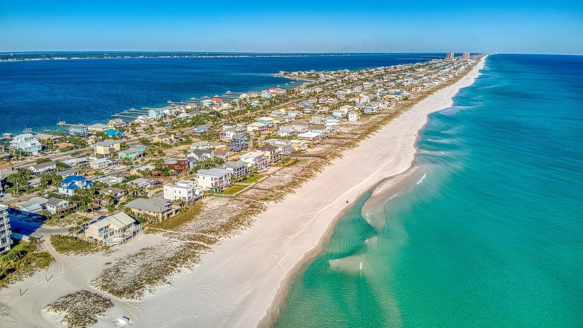 Ariola 107  The Treehouse 32