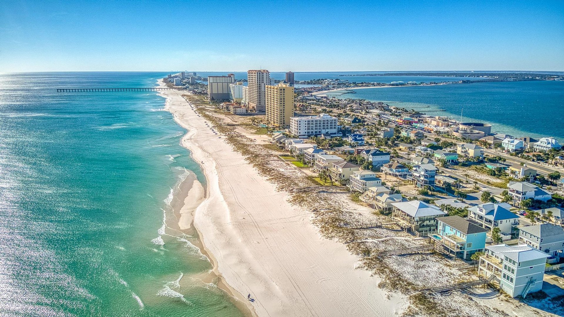 Ariola 107  The Treehouse 34