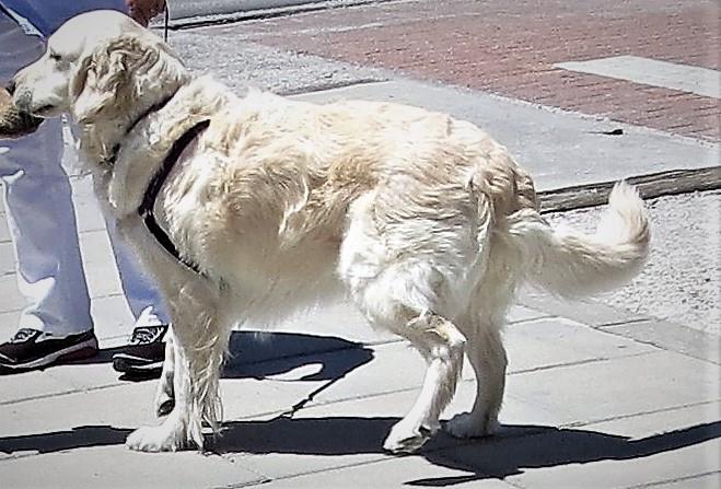 Beachside Villas 1211 31