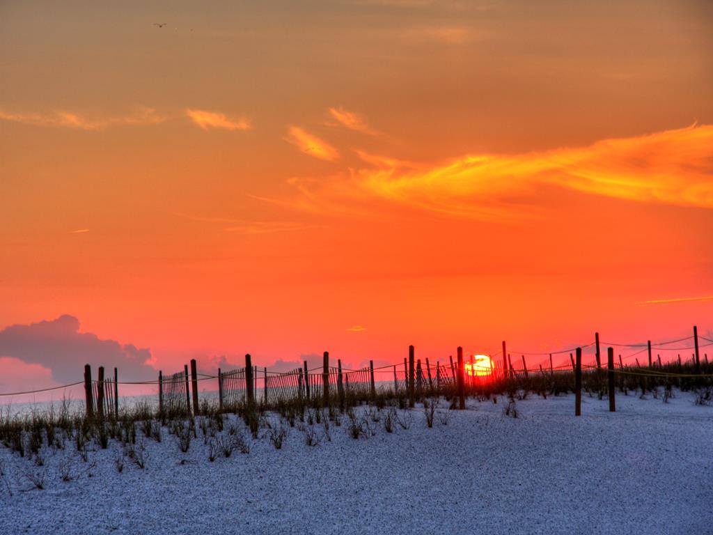 Surf Side Shores 1701 23