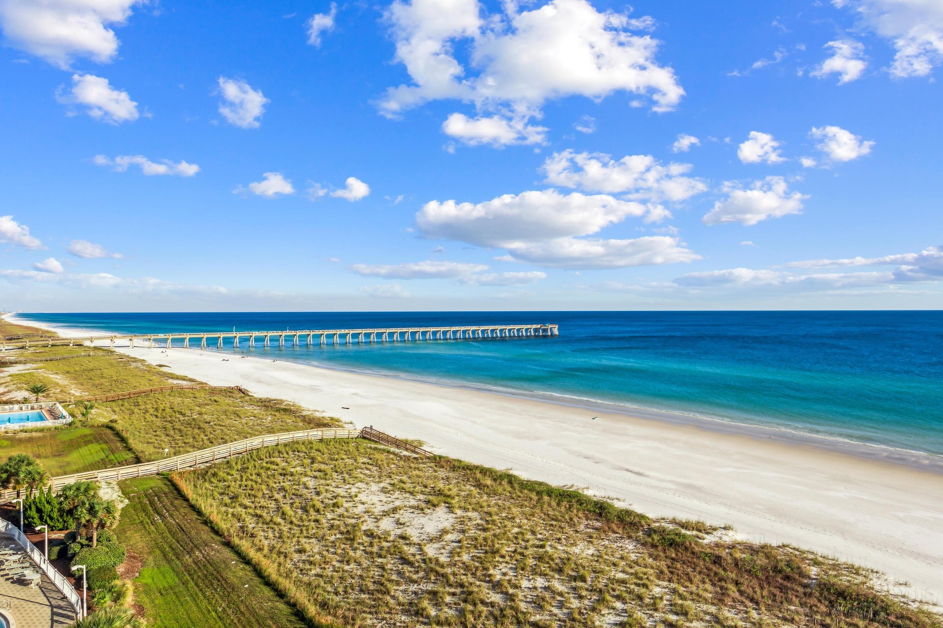 The Pearl of Navarre 702 NEW 4