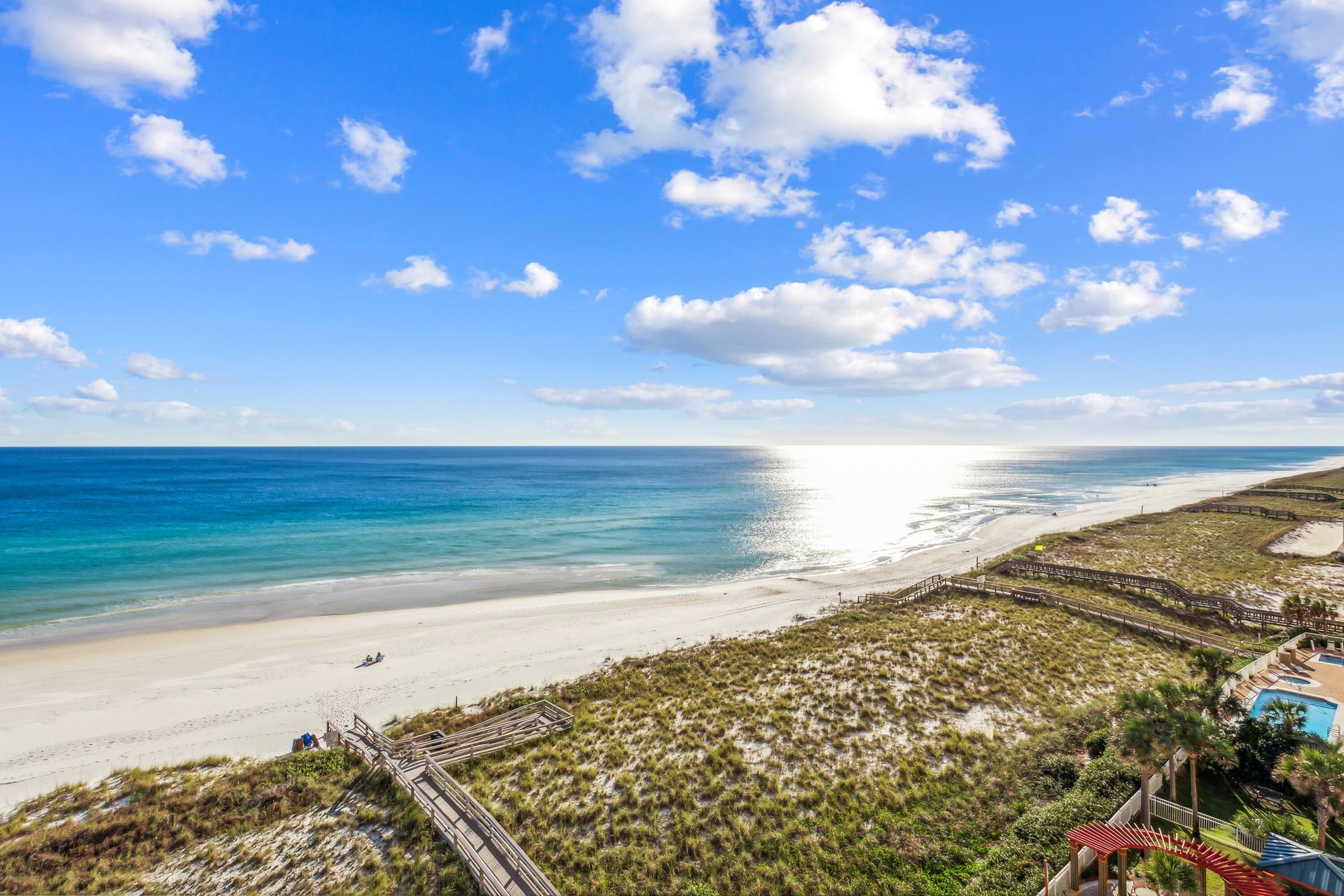 The Pearl of Navarre 702 NEW 6