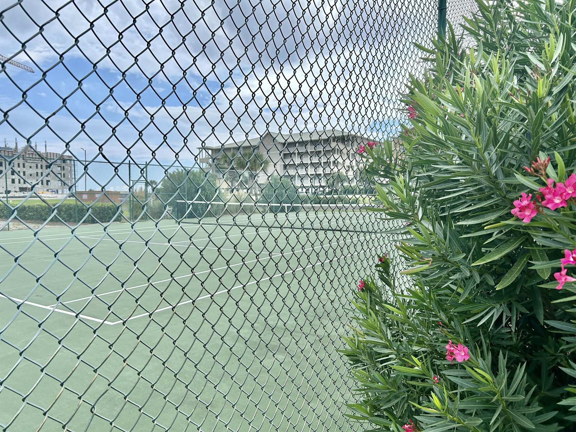 Dolphin Harbor 3H 41