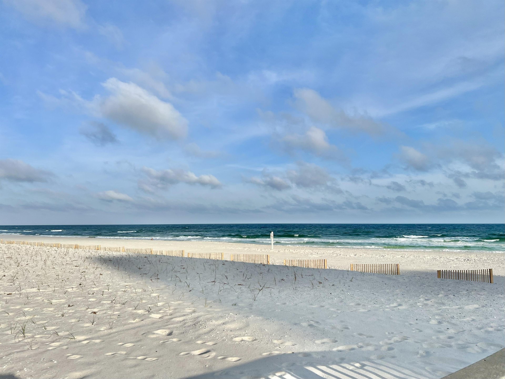 Dolphin Harbor 3H 47