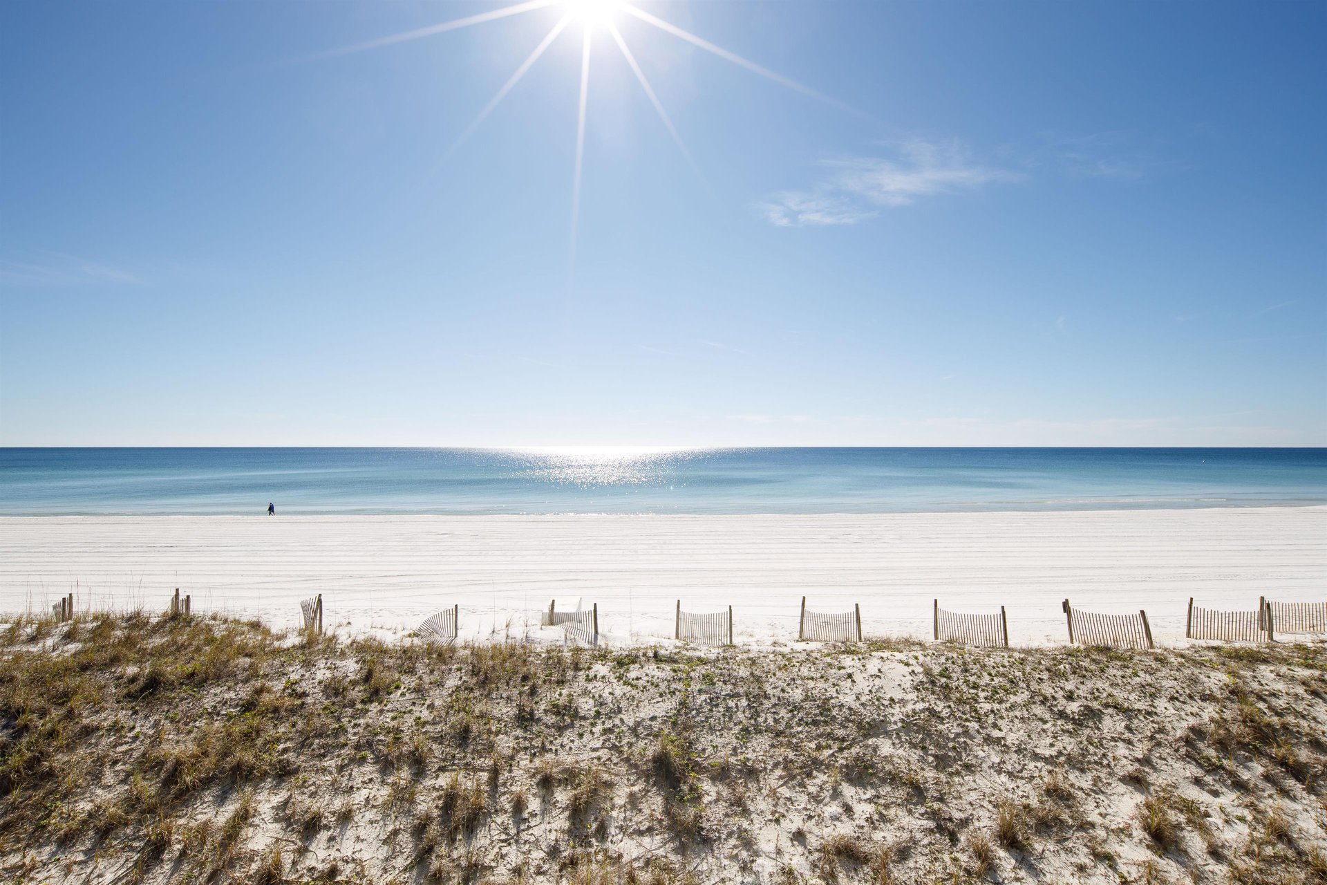 Nautilus Unit 1305 20