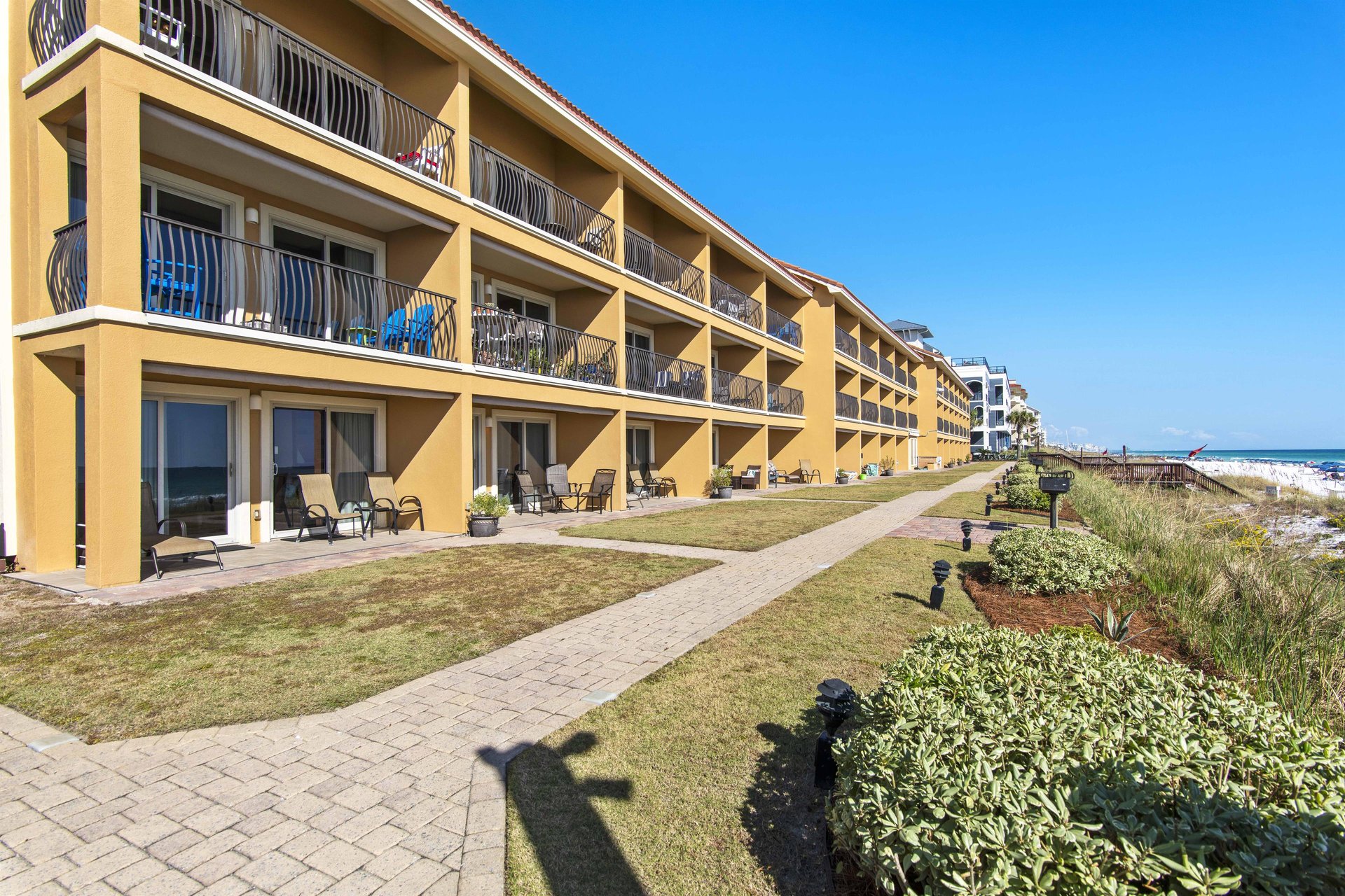 Coral Reef Club 22 24