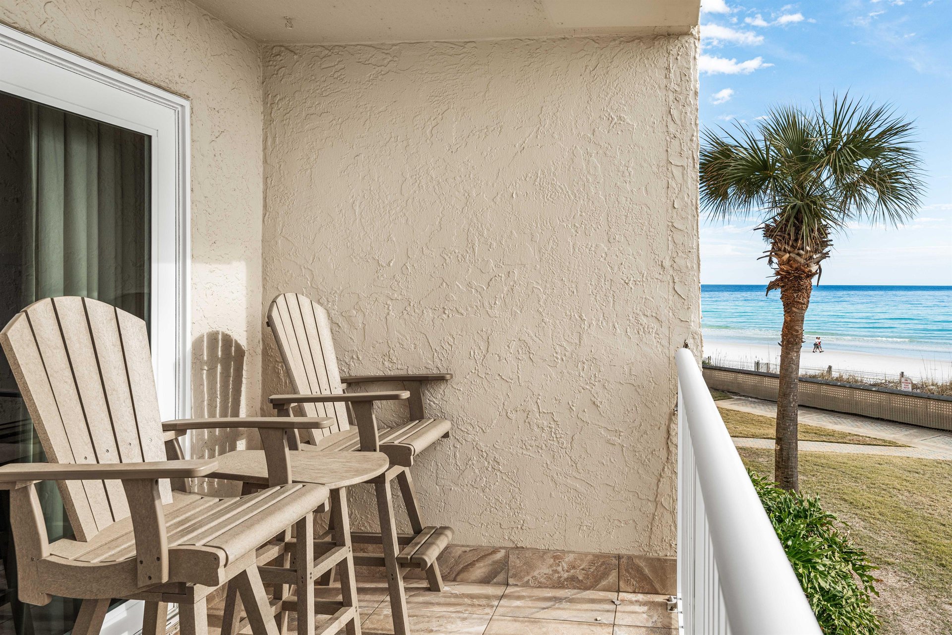 Sit and Watch the Dolphins Play