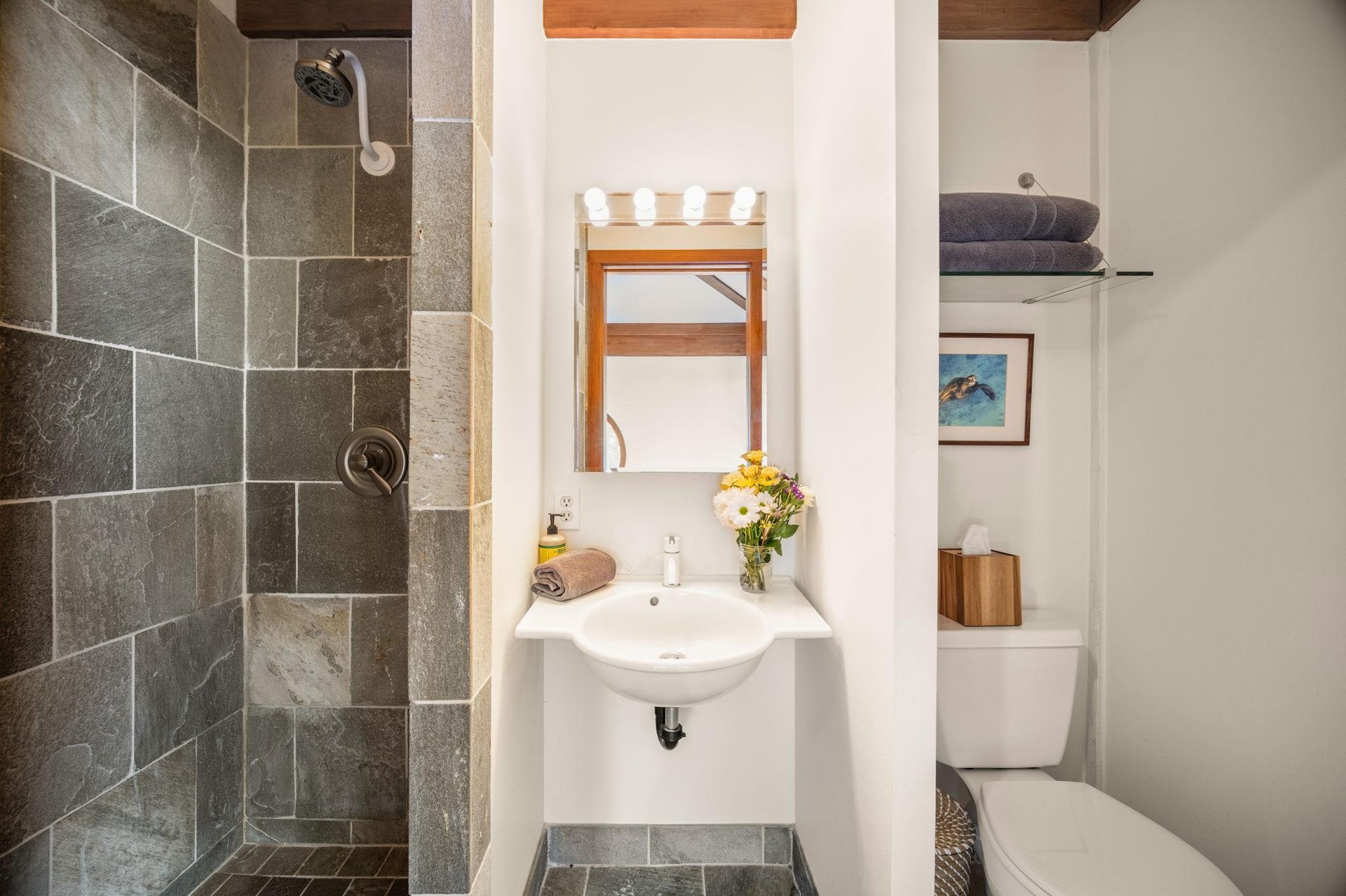 Full bathroom in TV room