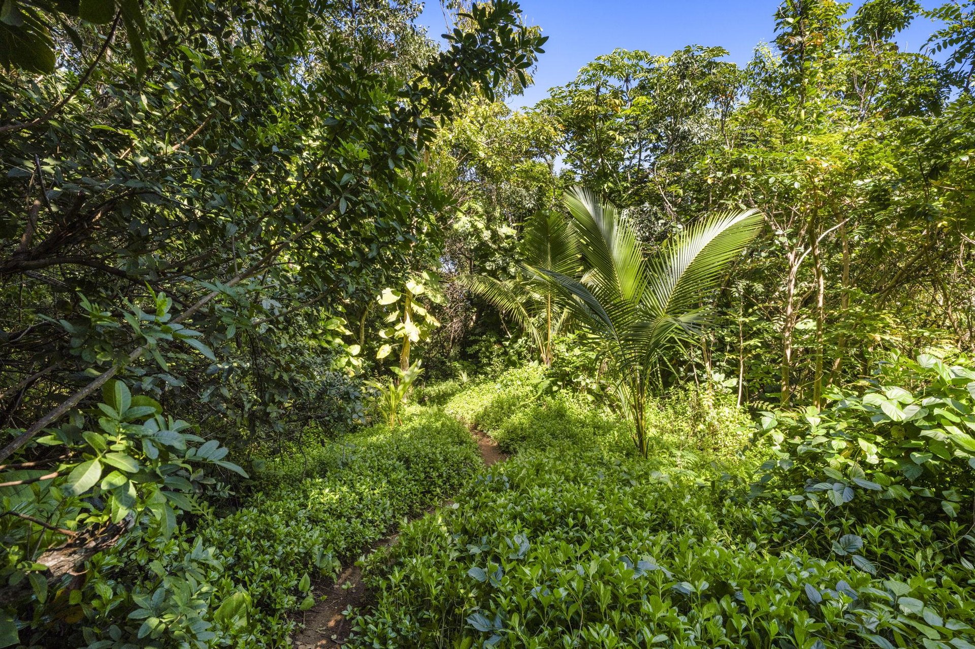 A short walk on the beach path takes you...