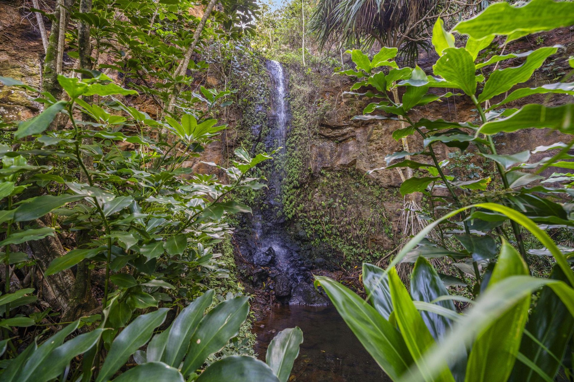 Explore all the island has to offer