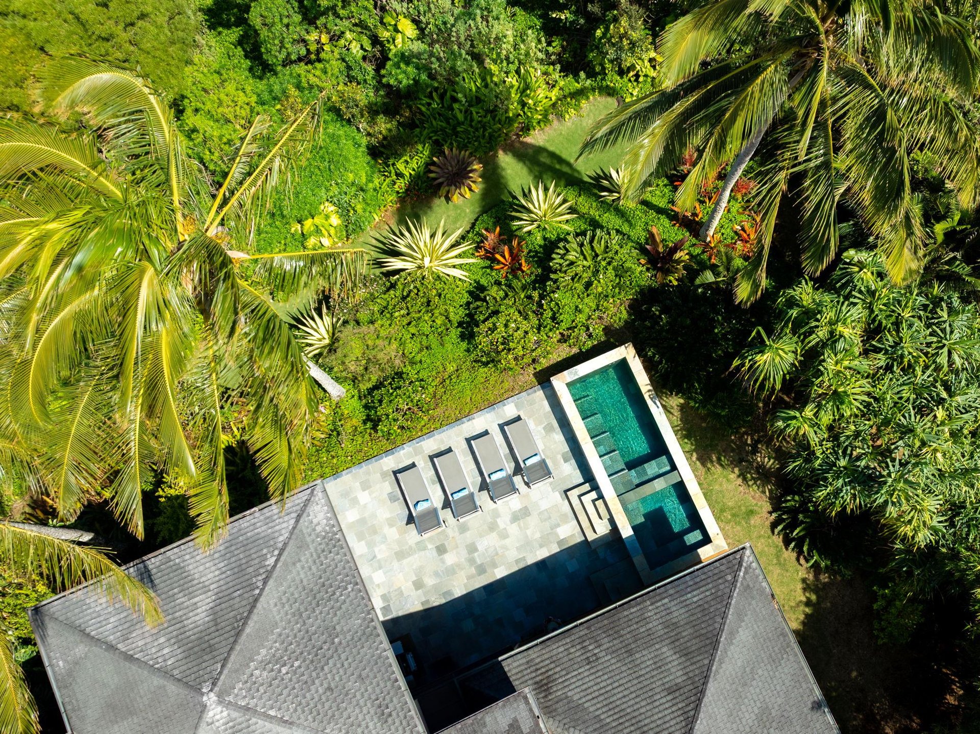 Pool, hot tub and the tropics