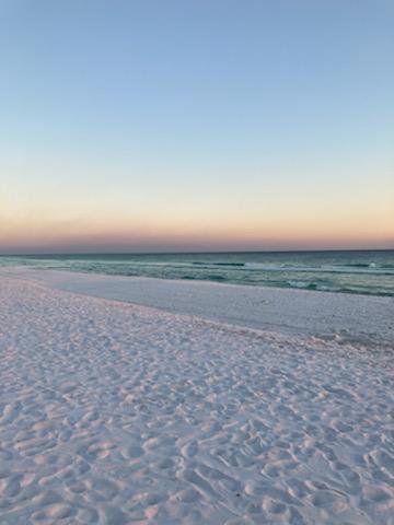 Fins to the Right 42