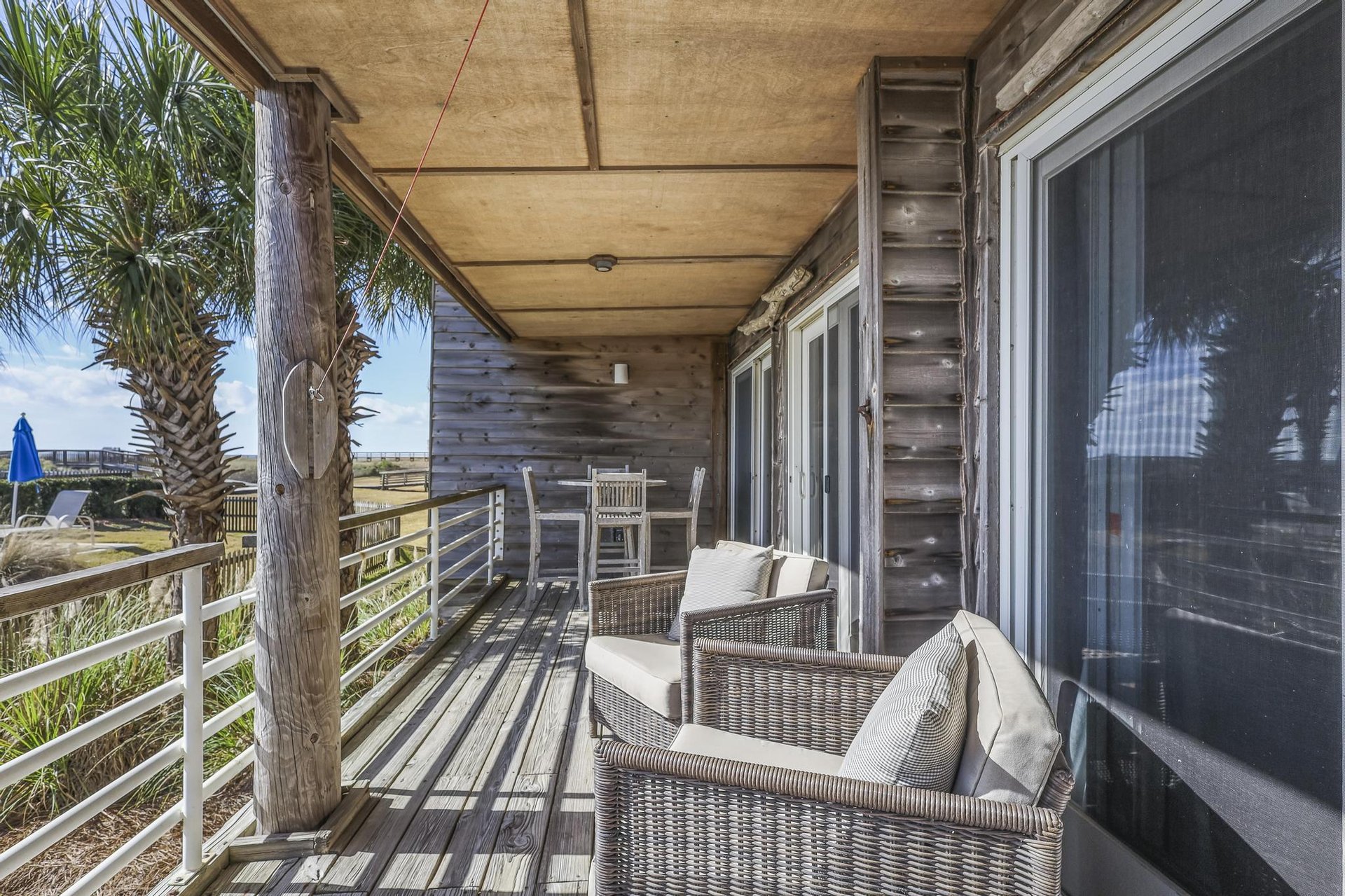 Needle Rush Point B11 24