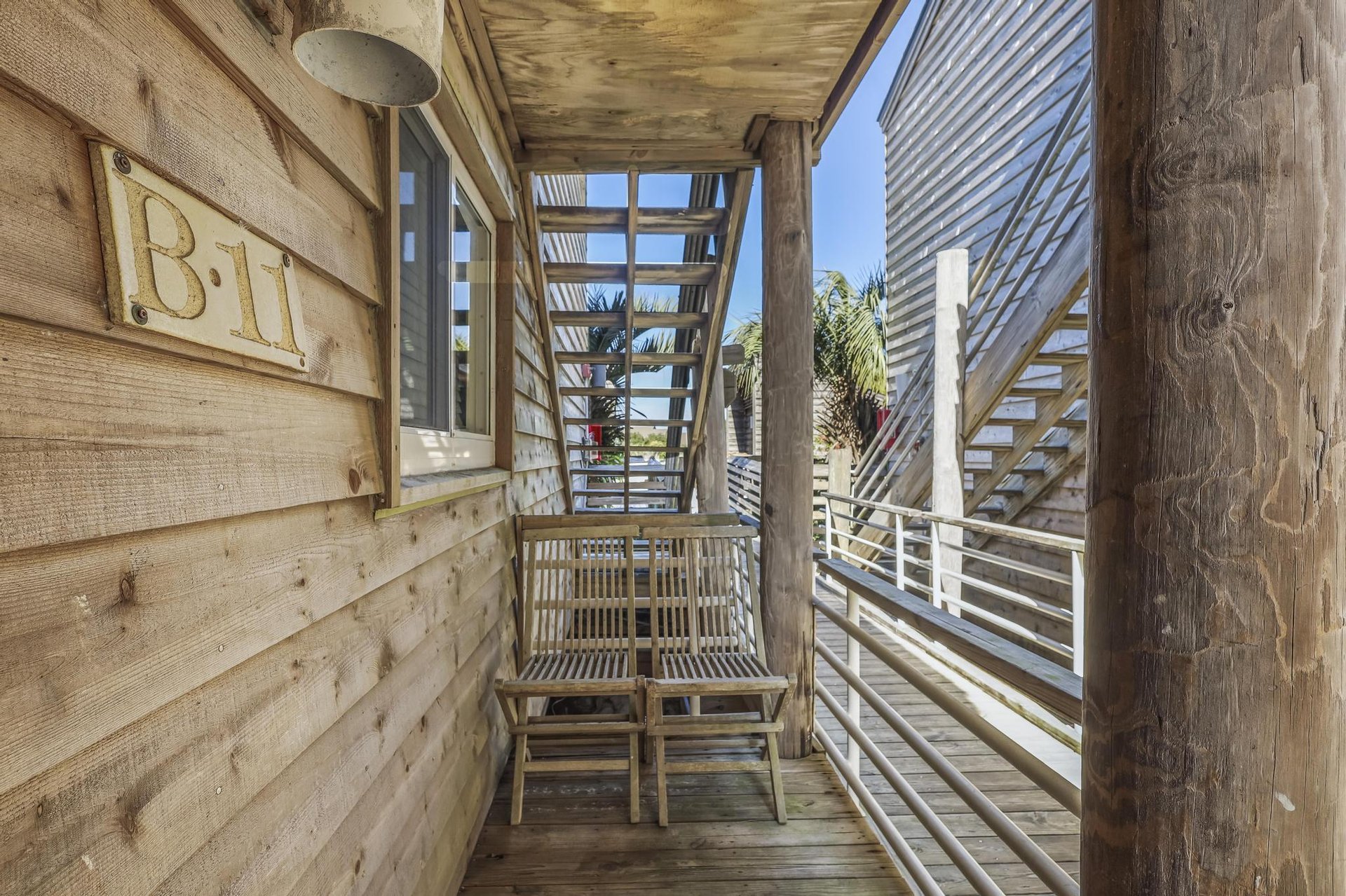 Needle Rush Point B11 29