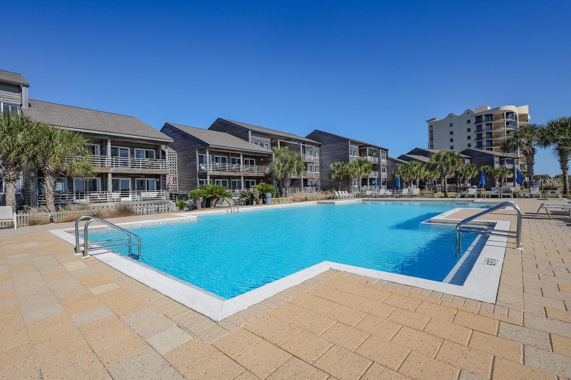 Needle Rush Point B11 38