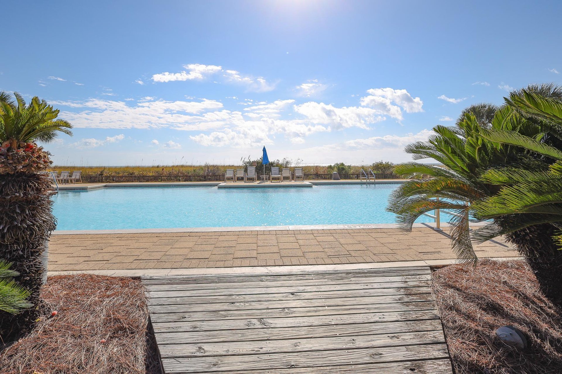 Needle Rush Point B11 39