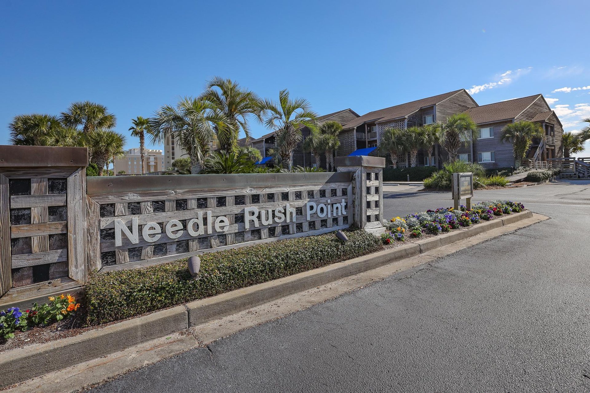 Needle Rush Point B11 40