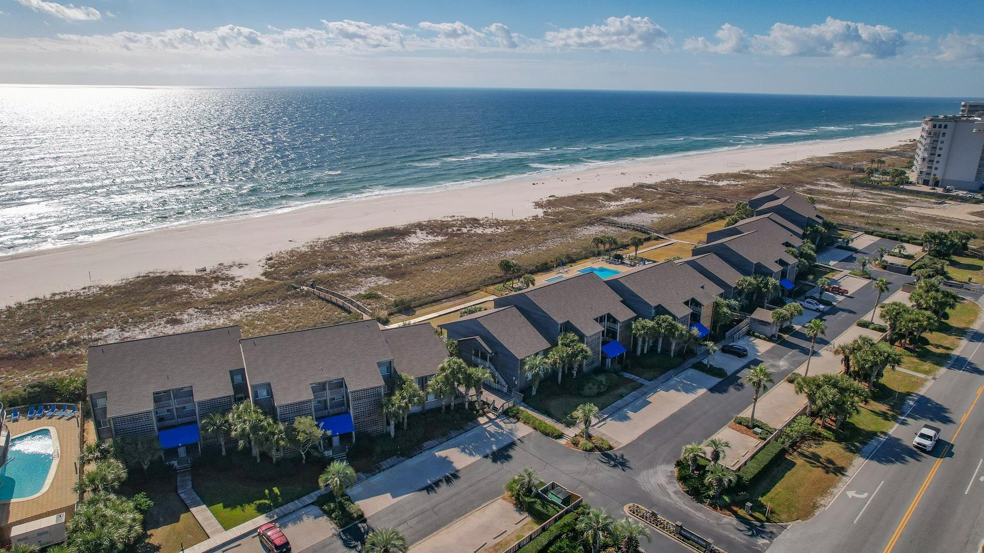 Needle Rush Point B11 45