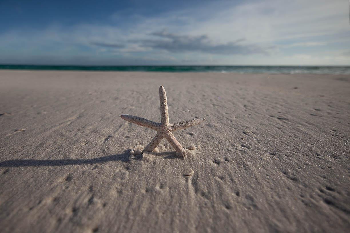 Holiday Surf and Racquet Unit 518 29