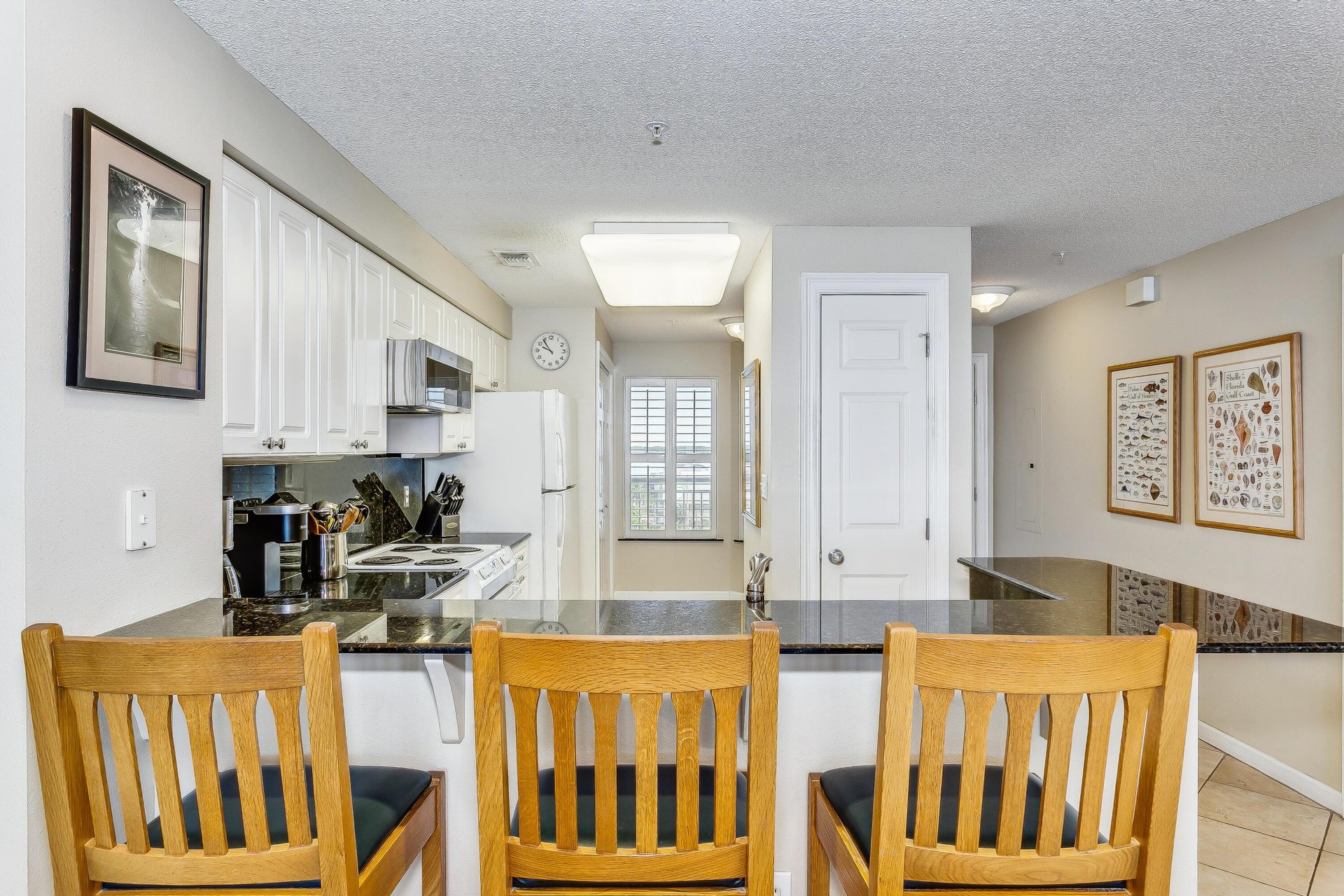 The Pearl of Navarre 504 15