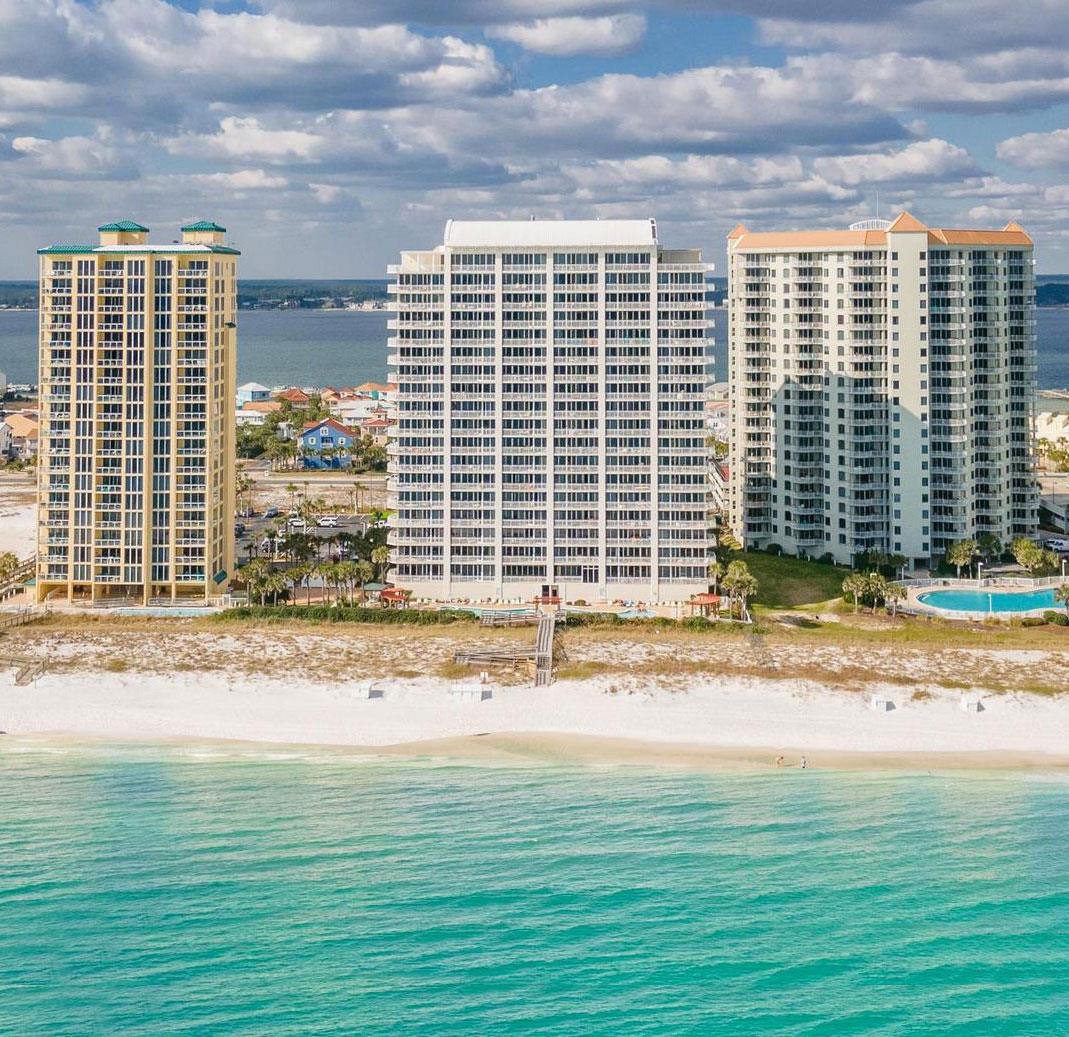 The Pearl of Navarre 504 50