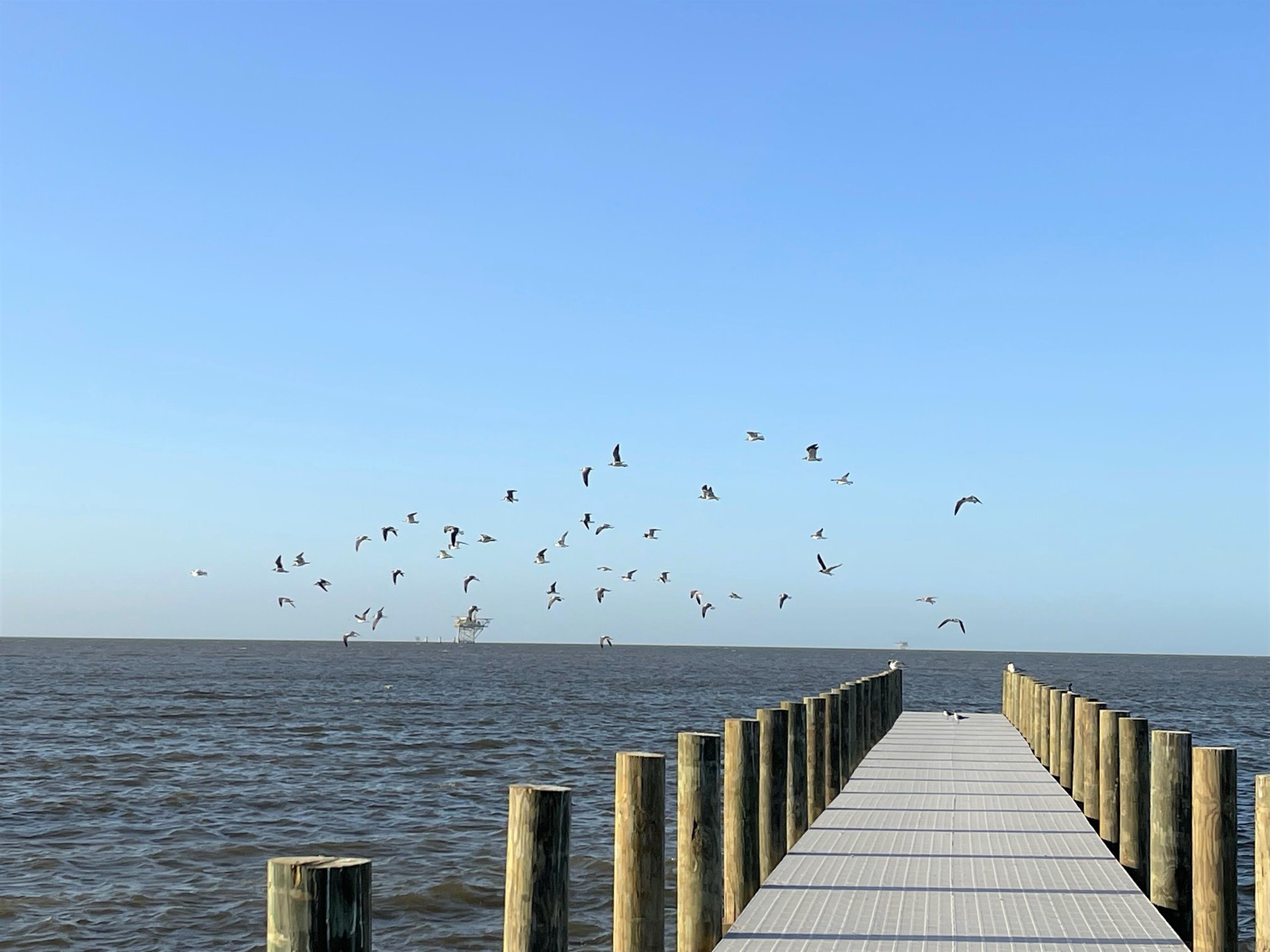 Family Waves340 S Breakers 40