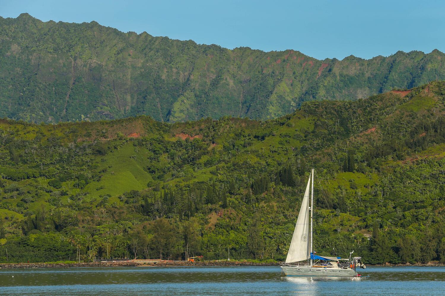 Nalu Hanalei 60