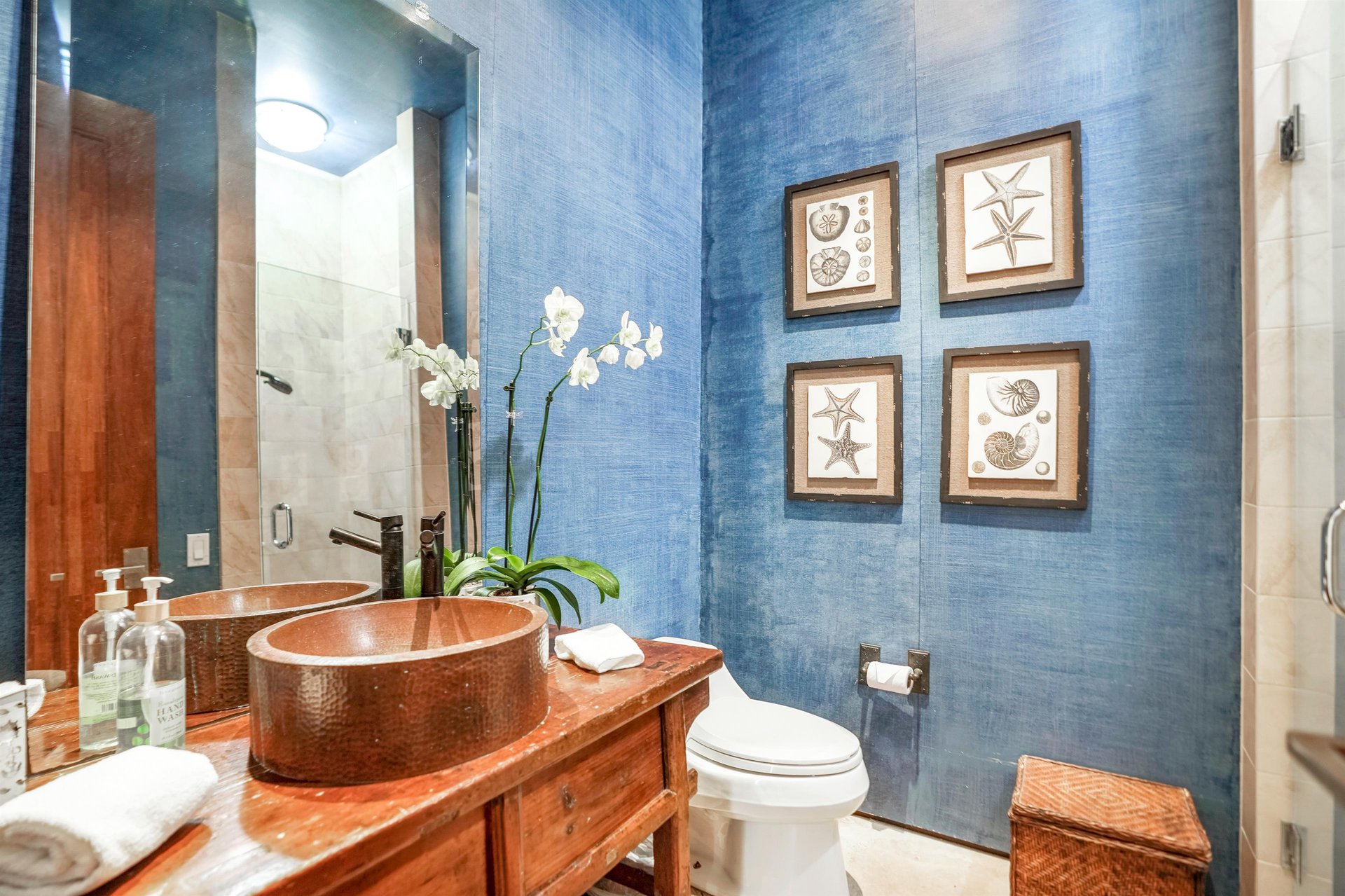 Honoiki Lane Hale 15