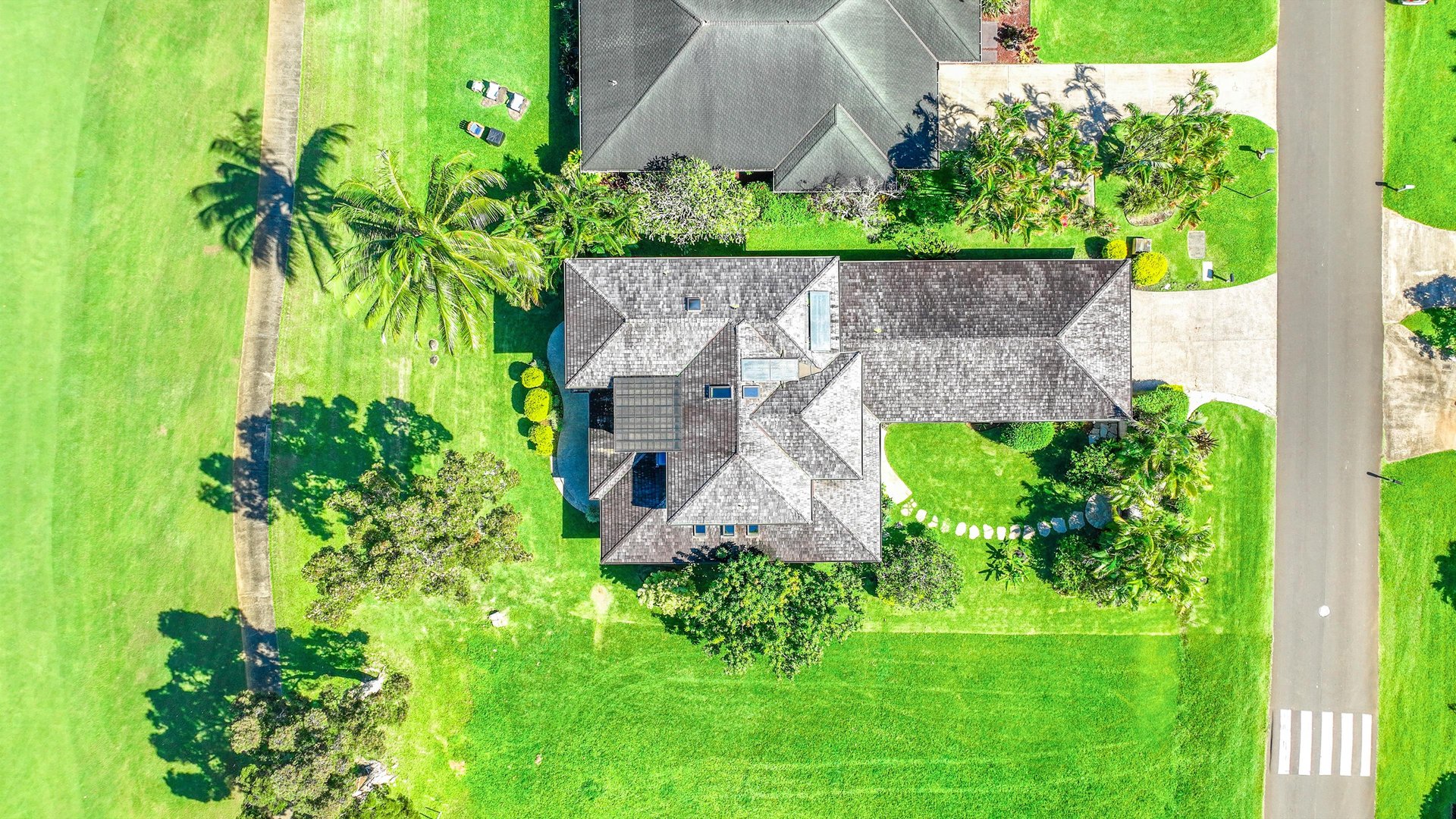 Honoiki Lane Hale 50