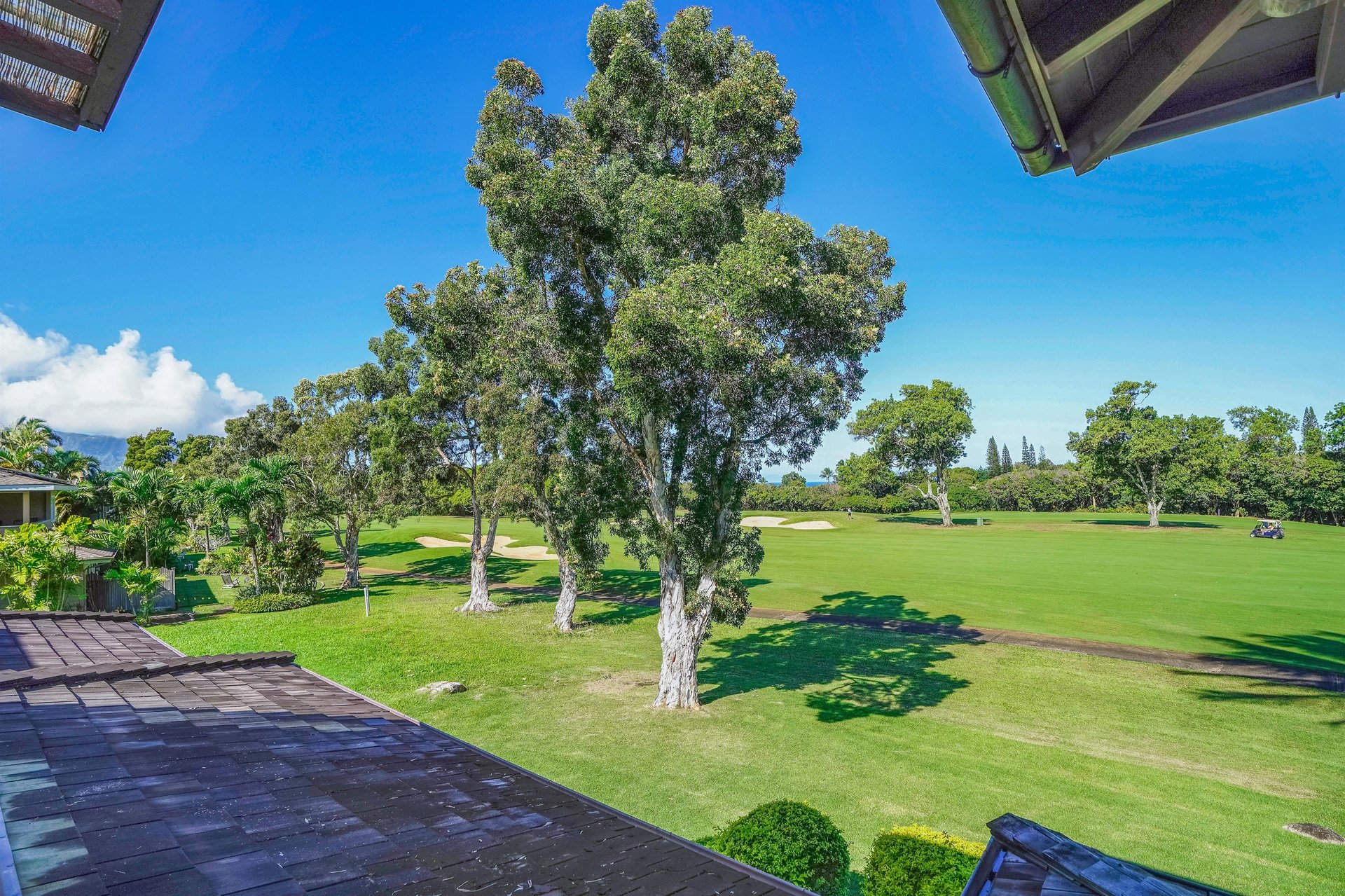 Honoiki Lane Hale 71