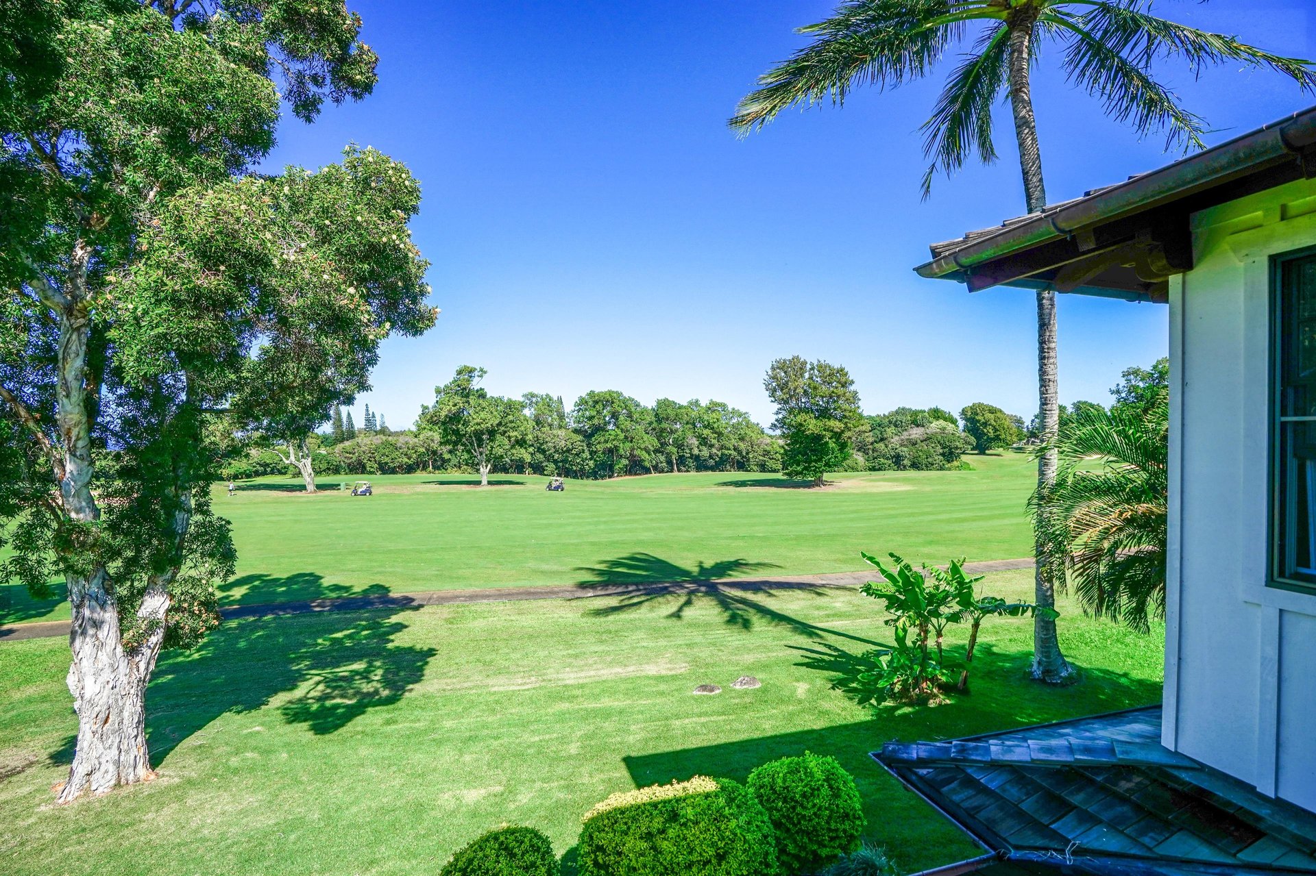 Honoiki Lane Hale 73