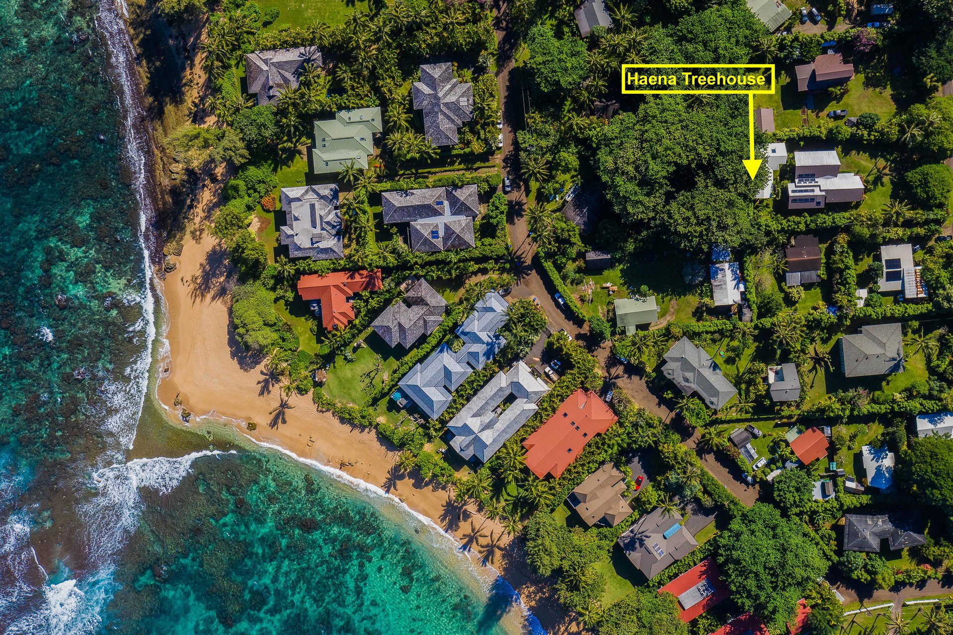 Hale Koolau Treehouse 12