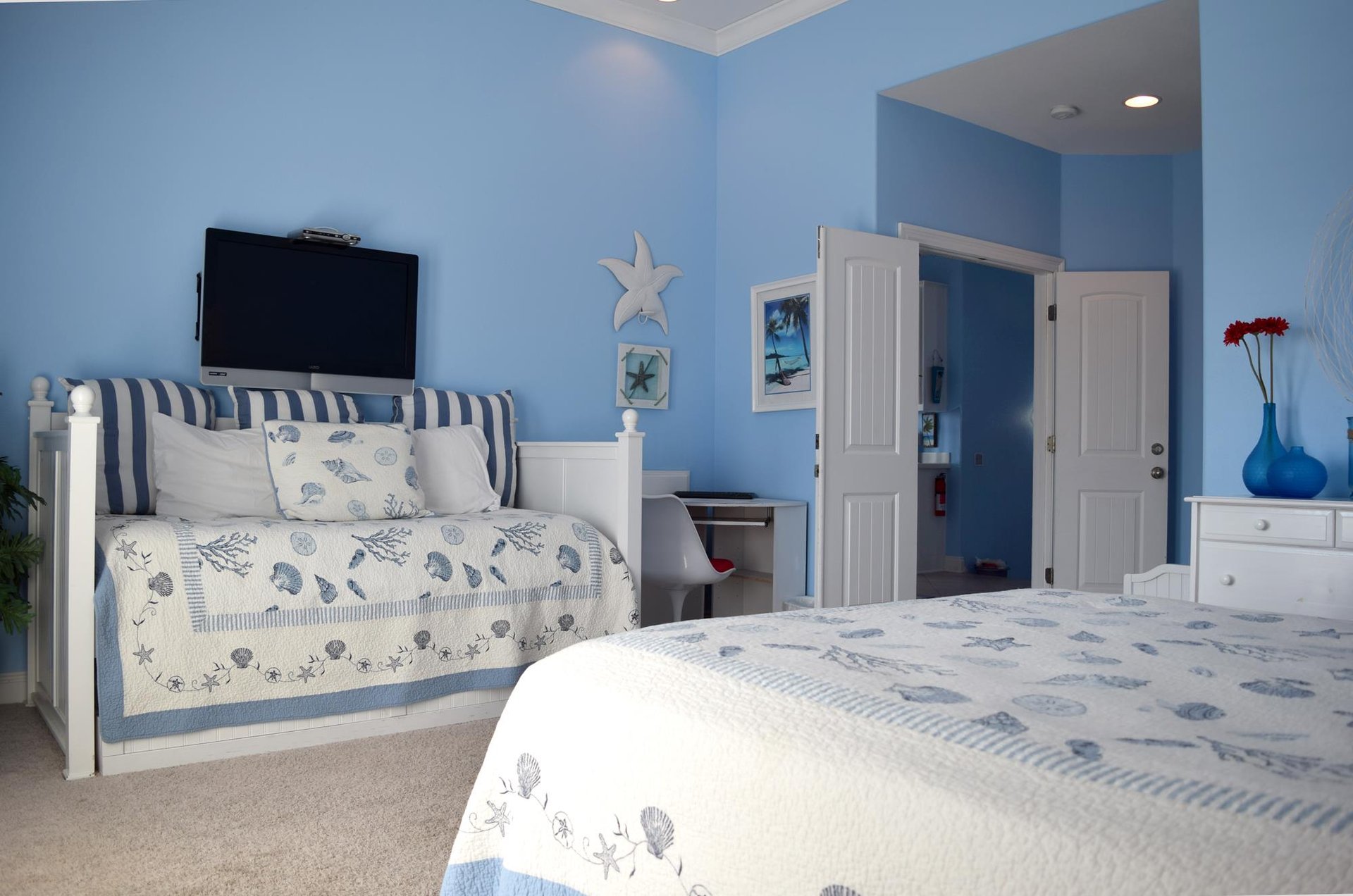 Maldonado 102  Bella Blue 24