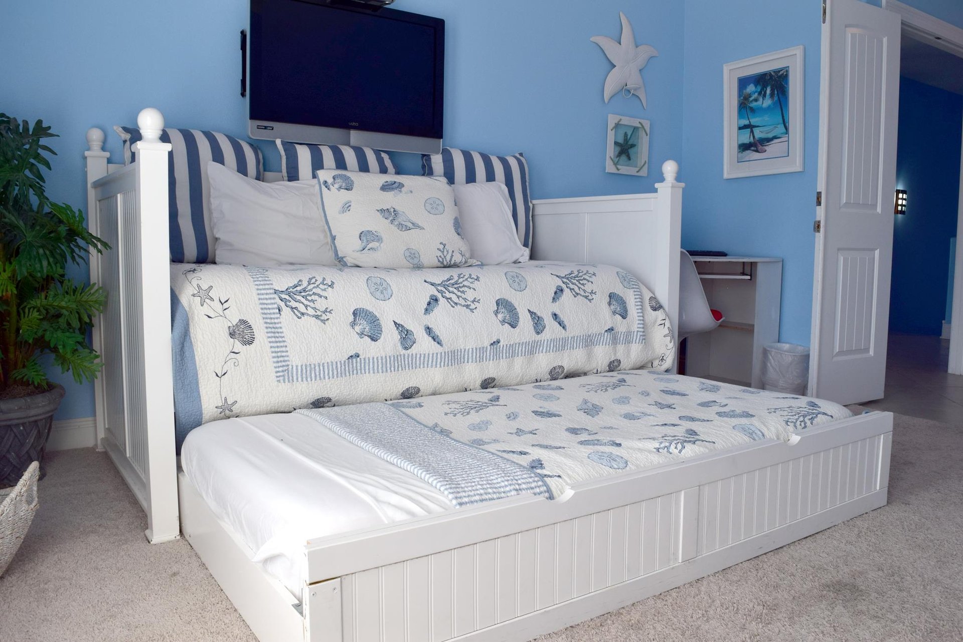 Maldonado 102  Bella Blue 25