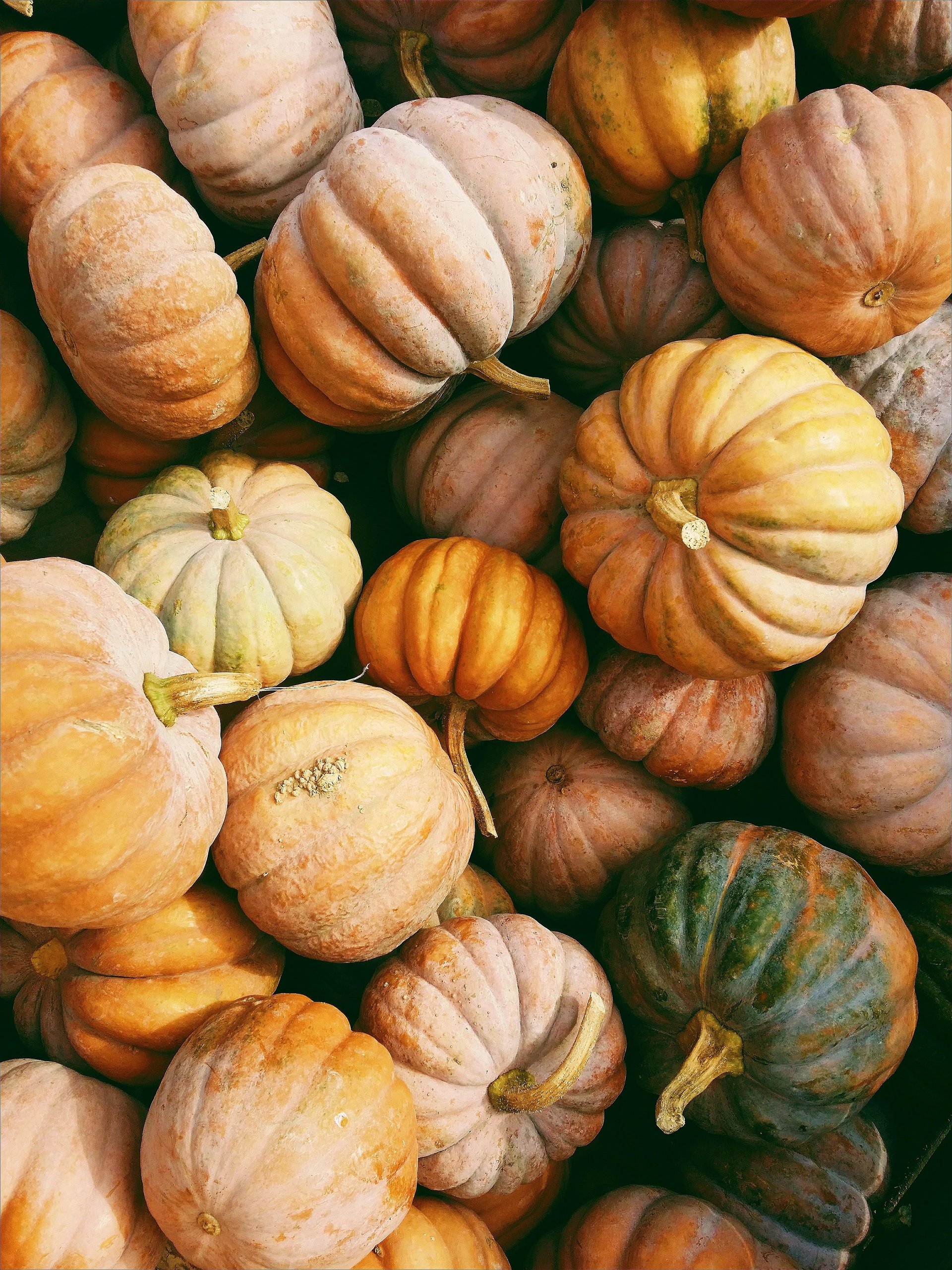 kerstinwrbazeInZepl_Hwunsplash