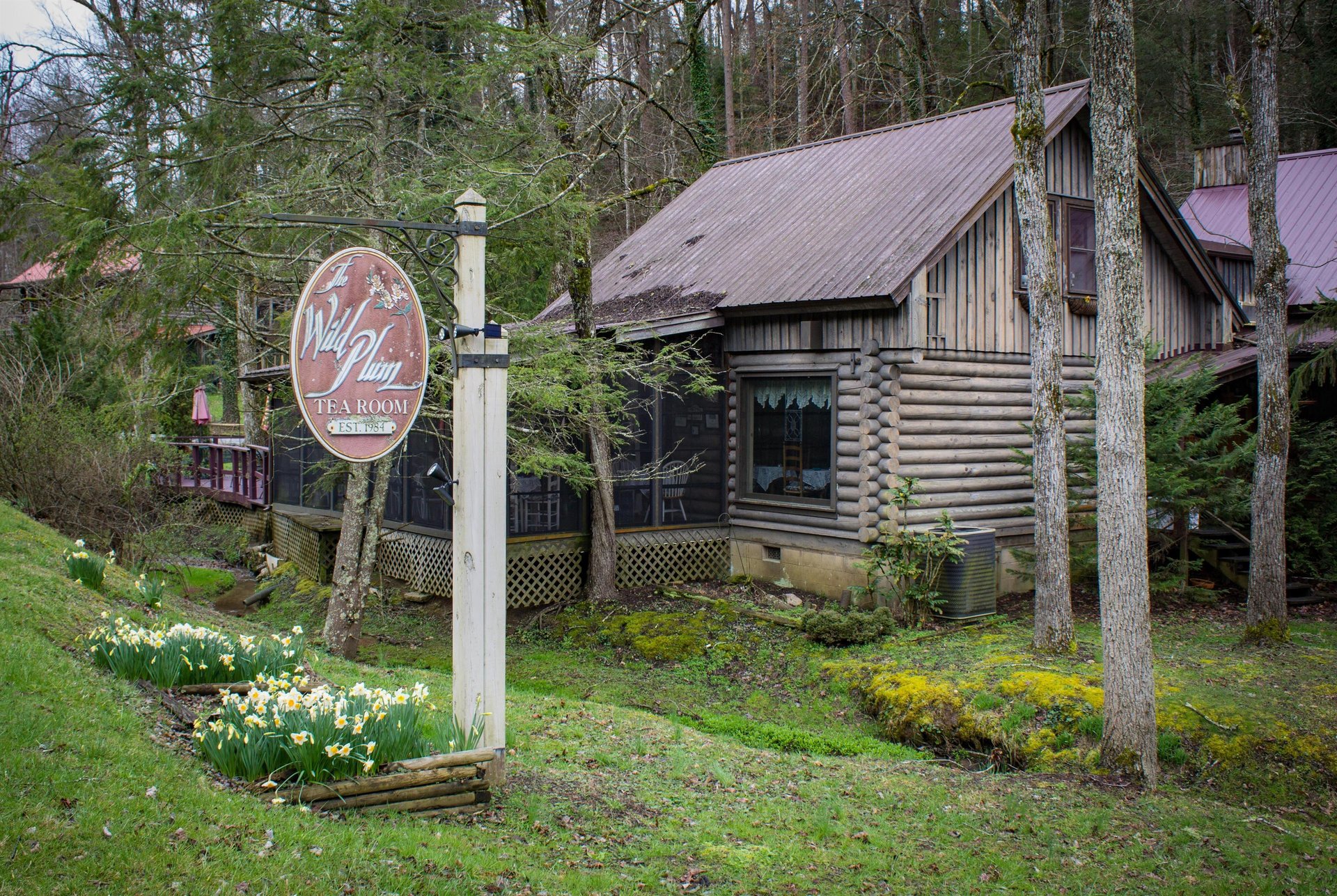 Wild Plum Tea Room