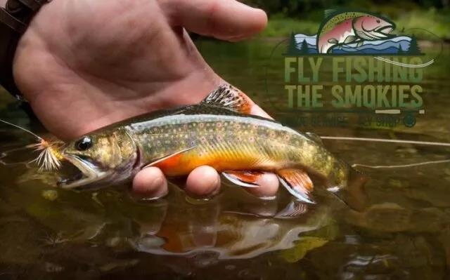 flyfishingthesmokies