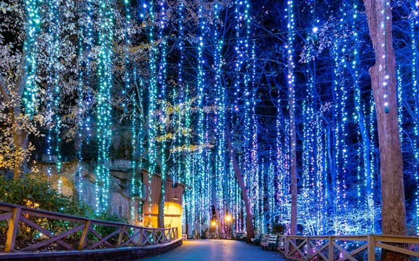 dollywood strands of lights hanging during christmas