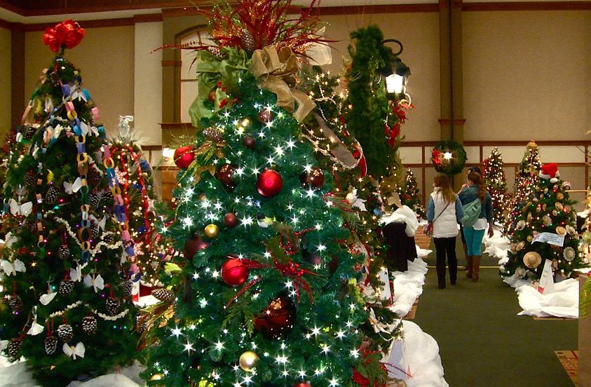 christmas trees on display at gatlinburgs festival of trees