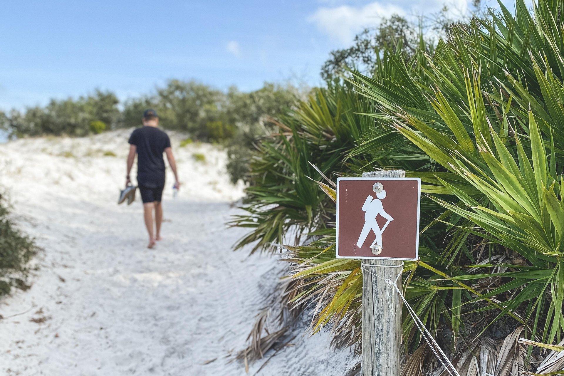 Hiking Near Beach