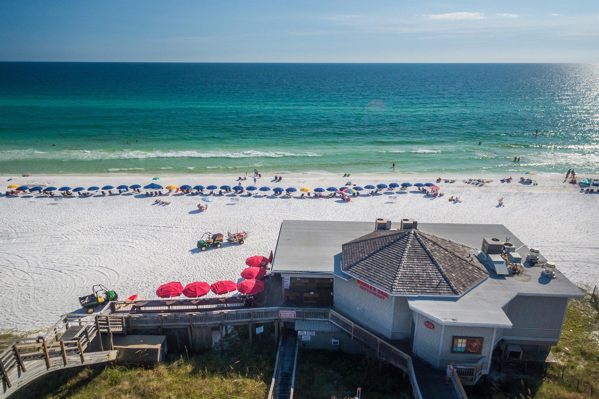 Whales Tail Beach Bar  Grill