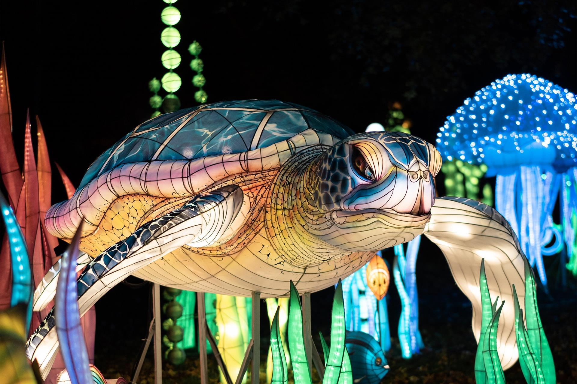 SeaLights Lantern Festival