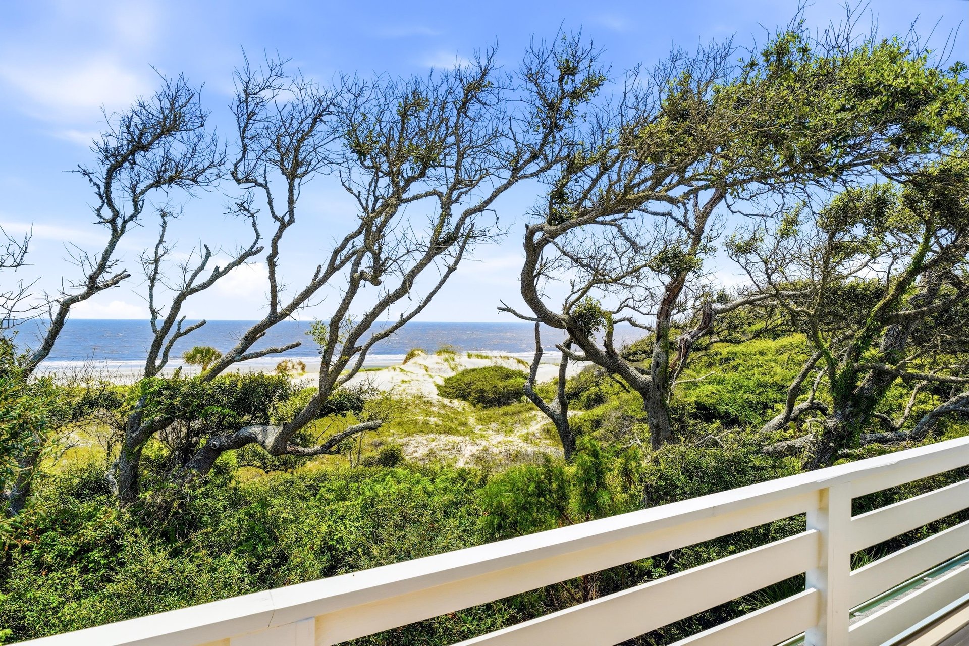 A second balcony angle captures the dunes, windshaped trees and Atlantic shoreline.